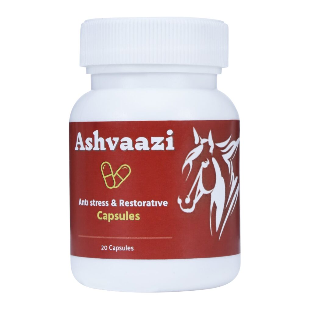 best ayurvedic medicine for ed 